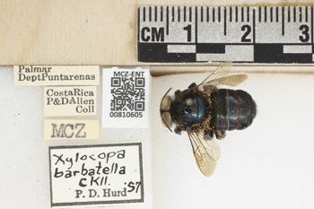 Media type: image;   Entomology 810605 Aspect: labels